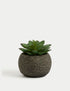 Marks & Spencer "Artificial Mini Succulent in Concrete Pot"
